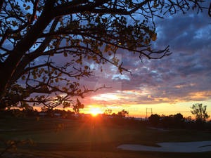 Good night Encinitas