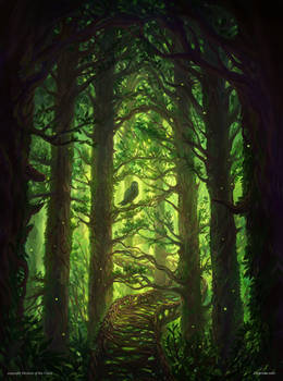 Magic the Gathering - Forest