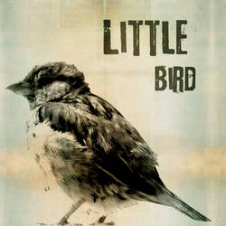 Little Bird