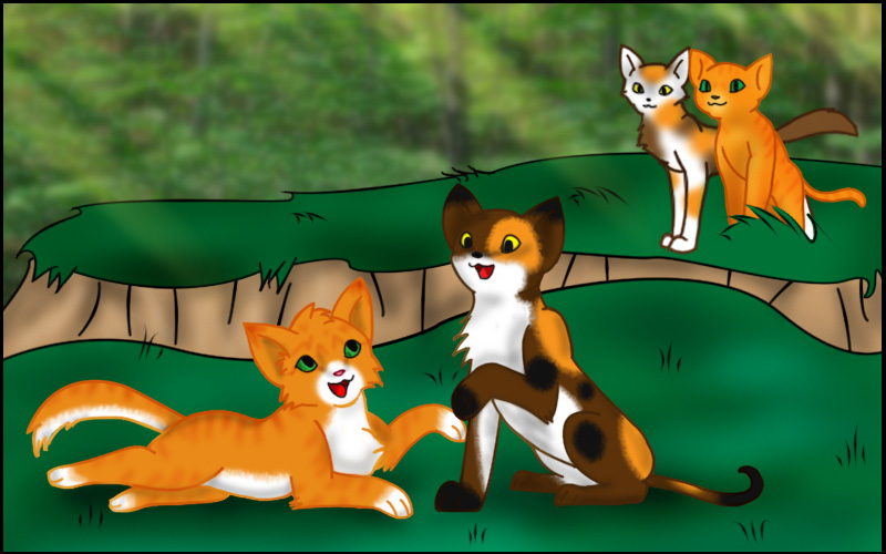 Firestar Spottedleaf and kits