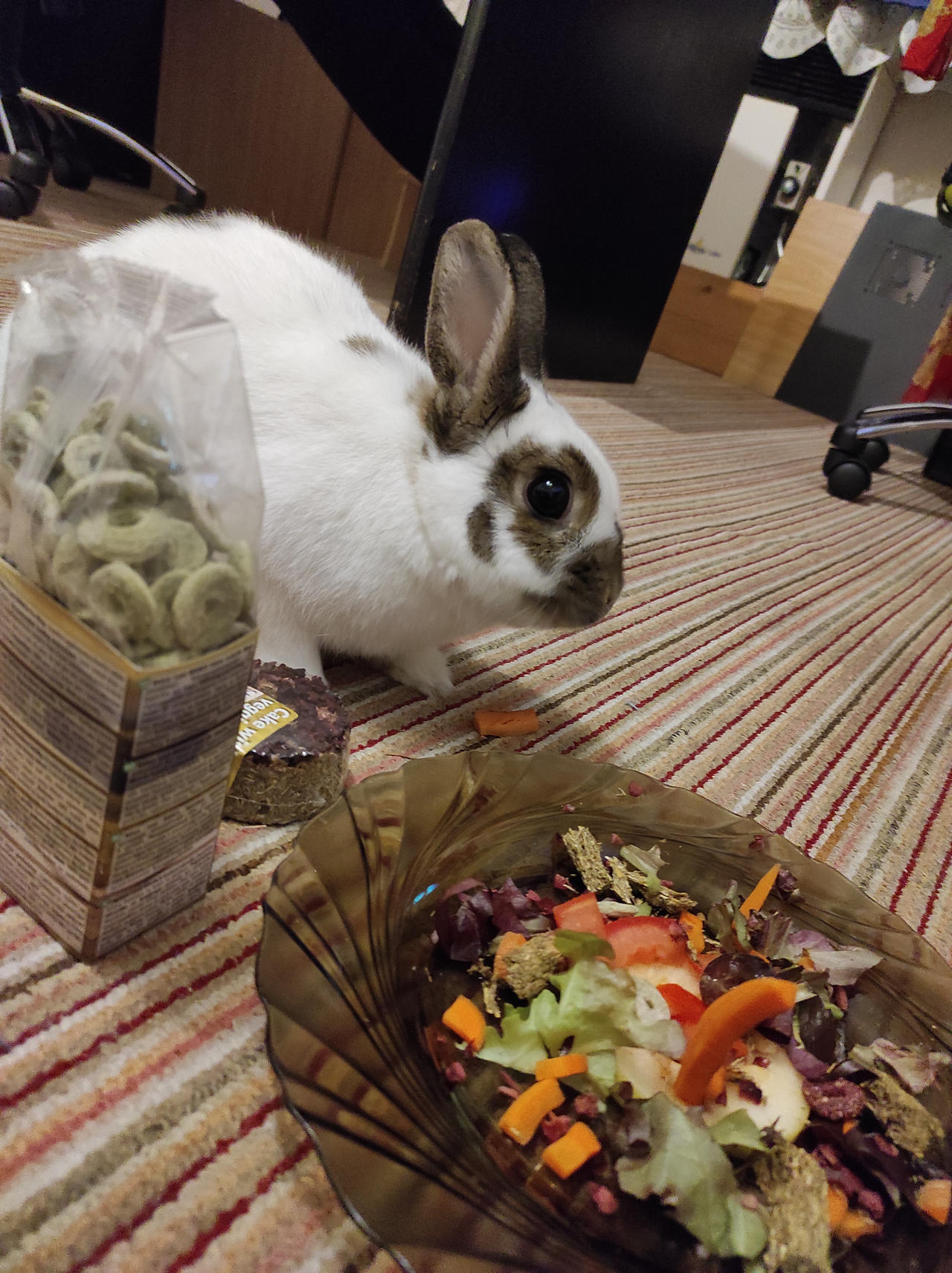 Ellie Rabbit Bunny Ellie ^^ by Yuninka2 on DeviantArt