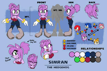 Simran the Hedgehog Character Sheet (New)