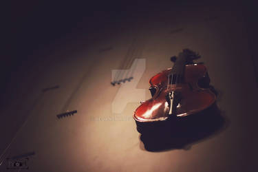 Life is like a violin