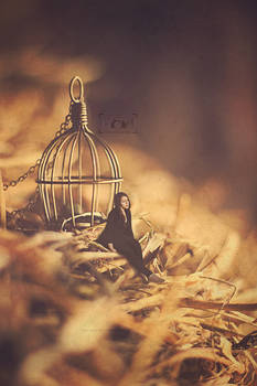 We are all caged inside our nest