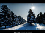 Heart of Winter by joanchris