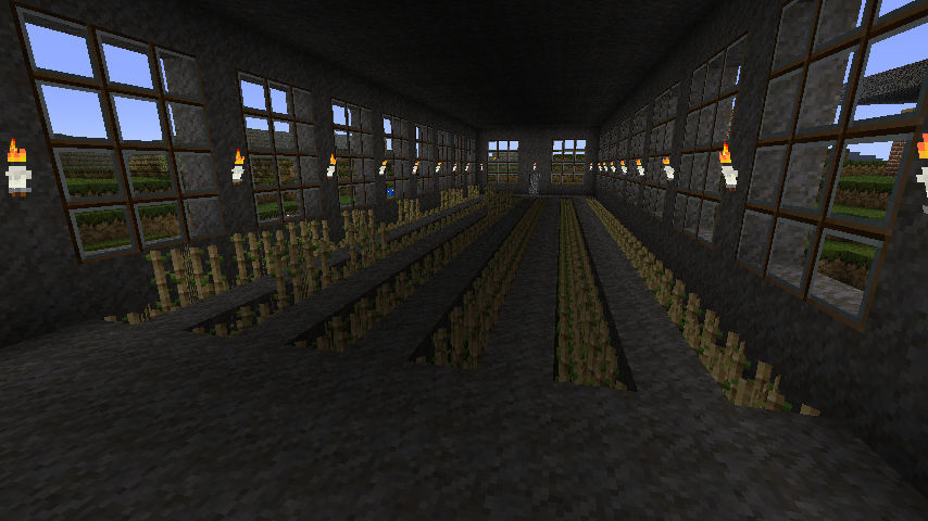 Minecraft Fun 10: Reed Farm by CampLazloRocks1 on DeviantArt