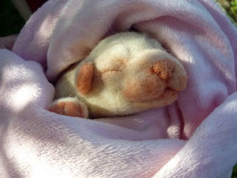 Needle Felted Puppy