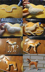 shiba process