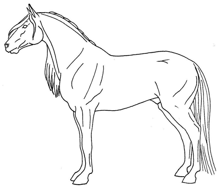 Лошадь картинки рисунки. Лошадь карандашом. Лошадь рисунок карандашом. Лошадь для срисовки. Лошадь карандашом для срисовки.