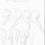 How To Draw Horses 4