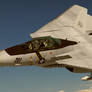 F14 Tomcat. Jolly Rogers.