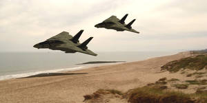F14 Tomcats