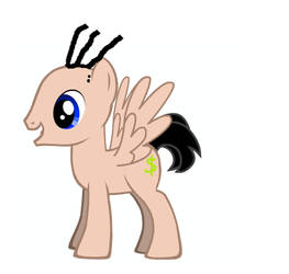 Eddy as a Pony