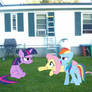 Twilight, Rainbow Dash, and Fluttershy