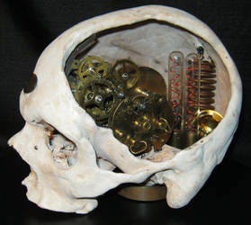 Steampunk cyborg skull