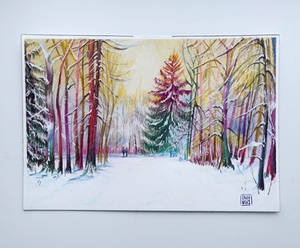 Winter forest