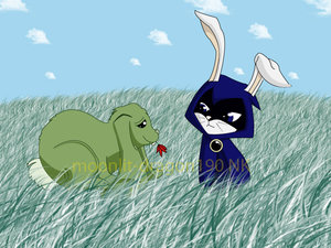 Bunny Rae, Bunny-B by teentitans on DeviantArt