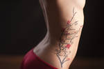 049 by Passiondancer