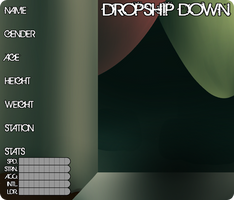 DD Application Sheet