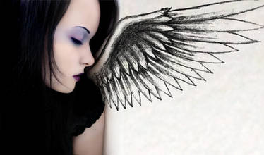 You can't break my wings