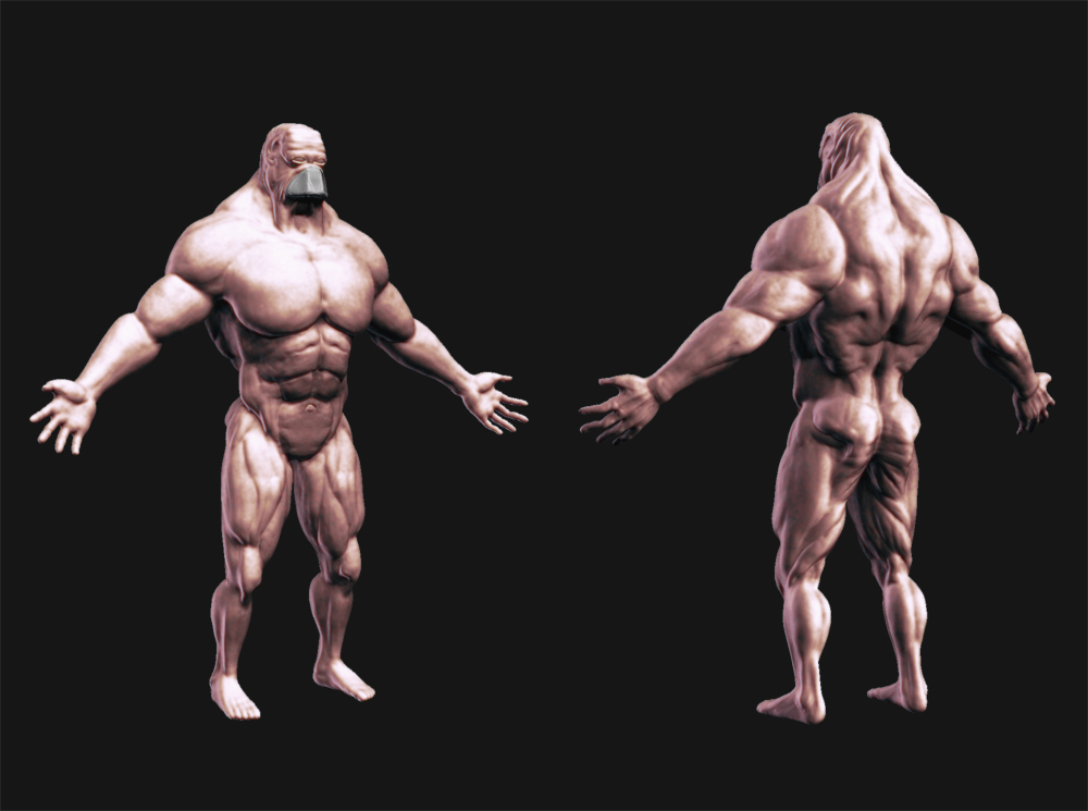 zbrush brute anatomy