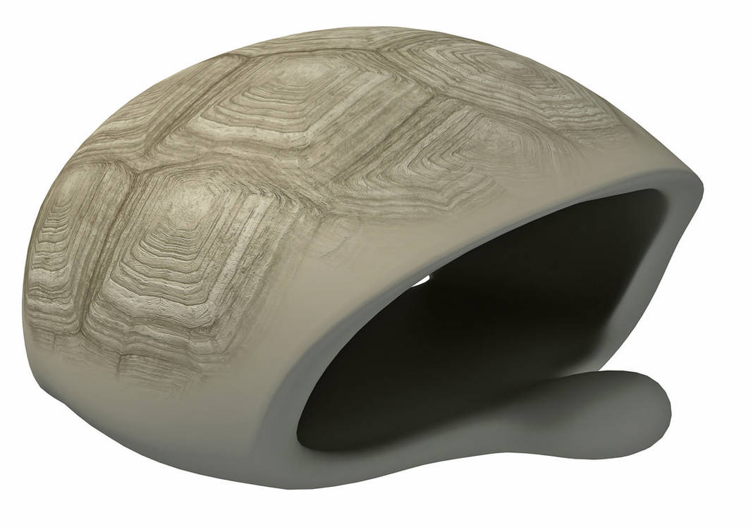 Turtle Shell Skeleton 3D model - 3D Models by 3D-Horse on DeviantArt