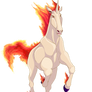 Rapidash