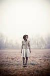 misty morning by greycamera