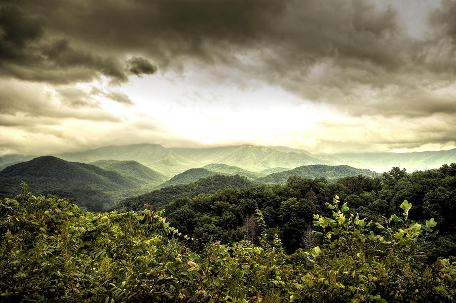 mountains in the mist