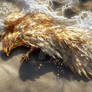 Tide of Rebirth