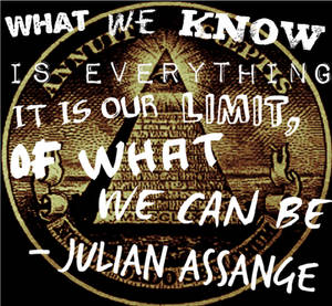 What We Know - Julian Assange