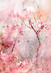 Sweet pink by valeriemonthuit