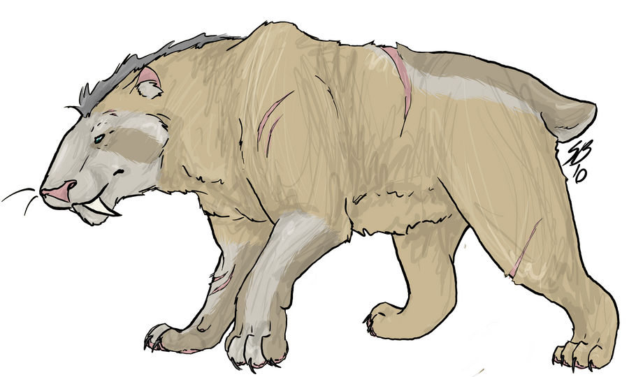 Free use Sabertooth temp by sanr4 on DeviantArt