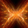 Phoenix Wings