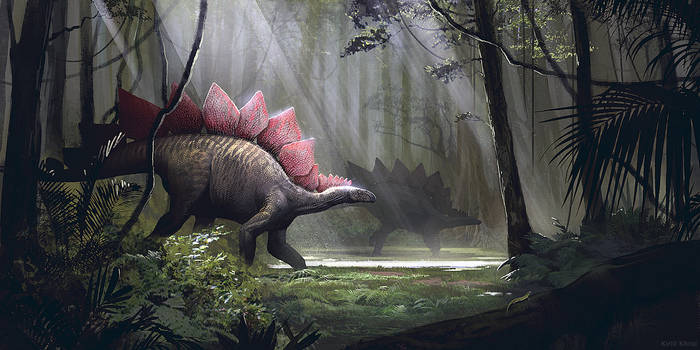 Stegosaurus