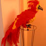 Fawkes, the Phoenix