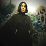 William Snape - My Husband
