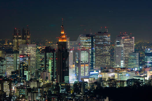 Shinjuku Tokyo Night Time