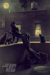 Catwoman: Night Prowlers by Jeffach