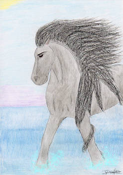 Sea's friesian