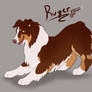 Ruger