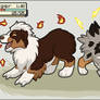 I Choose You, Ruger and Juniper!