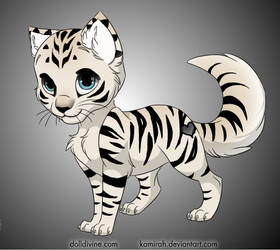 White Tiger Kitten Adoptable - Closed