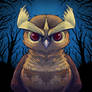 Noctowl