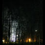 Luckenwalde at night 3