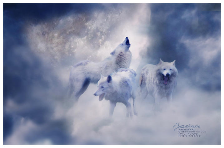 Moon wolves by I-X-O-R-A on DeviantArt