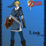 Link Zora Style