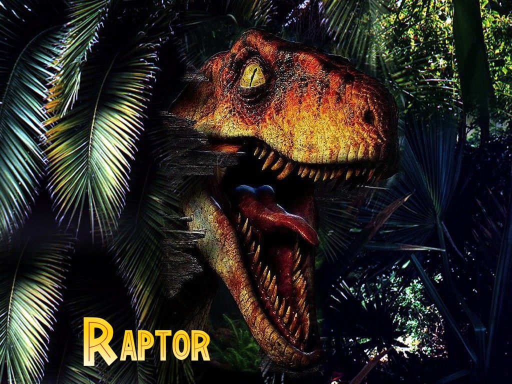 Raptor TLW