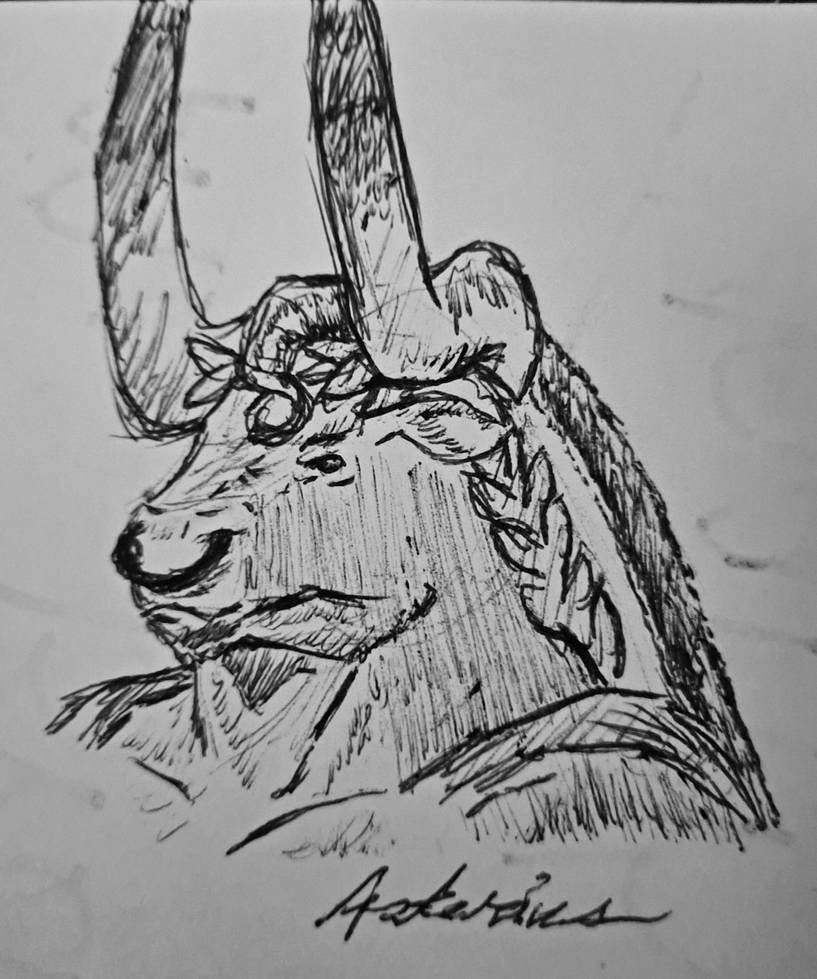 Asterius by Smolderbreath on DeviantArt