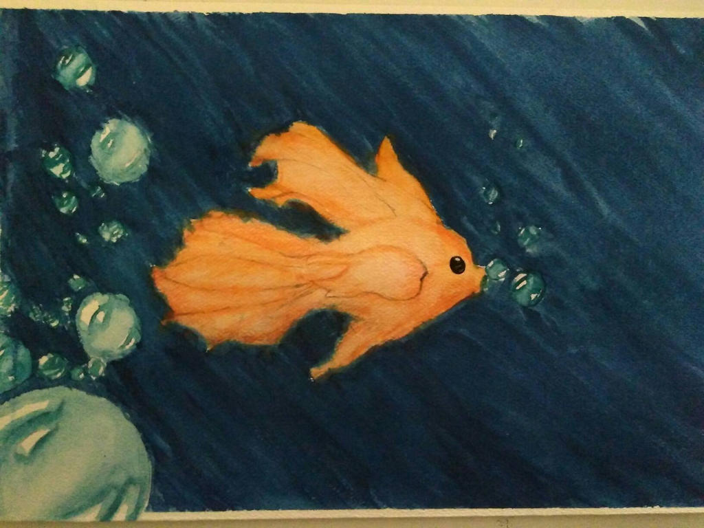 Deviantart 2007 Goldfish Goldfish by Atamaris on DeviantArt